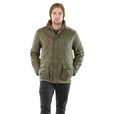 Blusão Cheltenham Gold